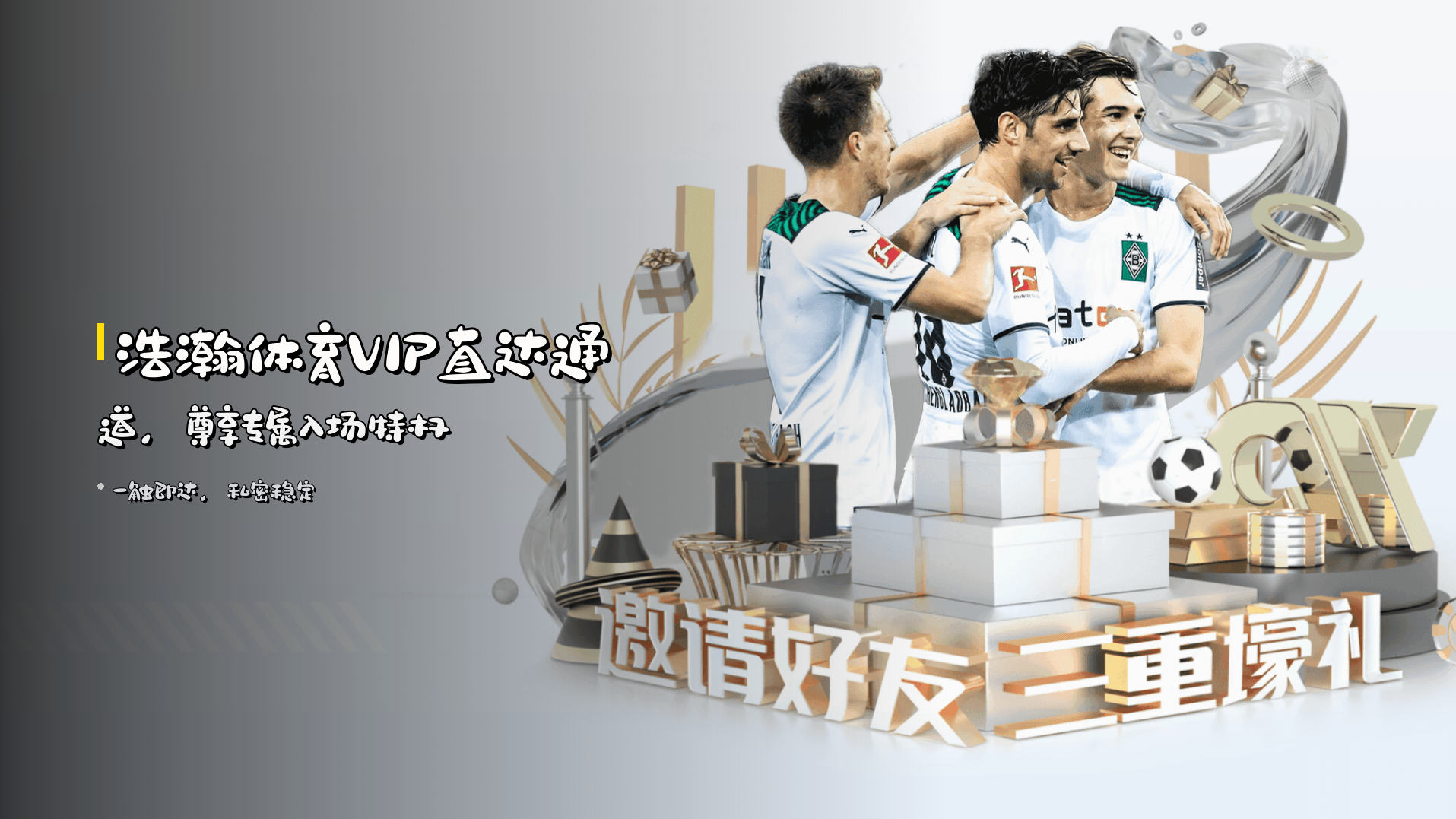 <strong>浩瀚体育</strong>VIP直达通道，尊享专属入场特权